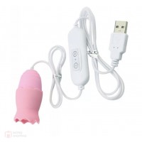 Single Egg Vibrator 10 Function USB Pink (อุปกรณ์สั่นลิ้น USB)