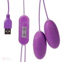 Dual Egg Vibrator 10 Function USB Pink (อุปกรณ์สั่น)