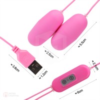 Dual Egg Vibrator 10 Function USB Pink (อุปกรณ์สั่น)