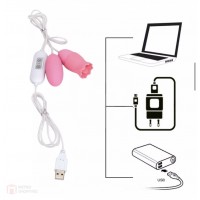 Dual Egg Vibrator 10 Function USB Pink (อุปกรณ์สั่น)